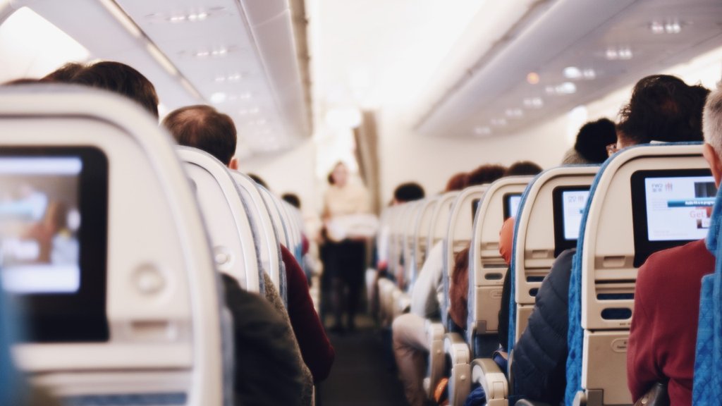 Zmija izašla iz prtljaga tokom leta iznad Italije, karabinjeri blokirali avion po sletanju – zmija iz prtljaga u avionu