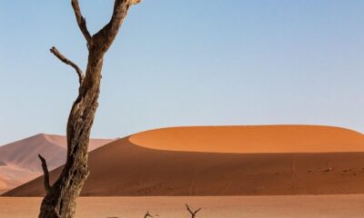 namibia, desert, sand, dune, dunes, sossusvlei, sahara, dry, nature, tree, sand dunes, namib desert, sandy, hot, chameleon, automobile, scrap metal, stone desert, heaven, landscape, dryness, desert, desert, desert, desert, desert