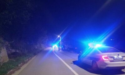 Motociklista teško povređen na Zlatiboru: Sudar sa kravom tokom noći – saobraćajna nezgoda na Zlatiboru