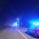 Motociklista teško povređen na Zlatiboru: Sudar sa kravom tokom noći – saobraćajna nezgoda na Zlatiboru