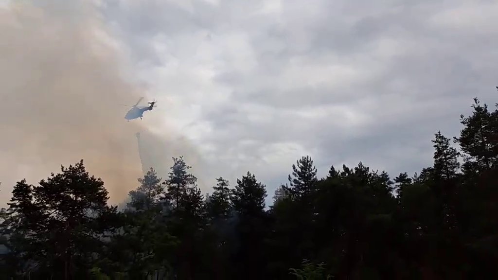 Požar u Deliblatskoj peščari: Dim ponovo vidljiv do Pančeva, vetar otežava gašenje