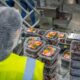 Cena šećera porasla 40 odsto, pritisak na prehrambenu industriju u regionu
