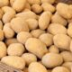 A variety of fresh potatoes at a Berlin market, showcasing organic produce in a rustic setting.