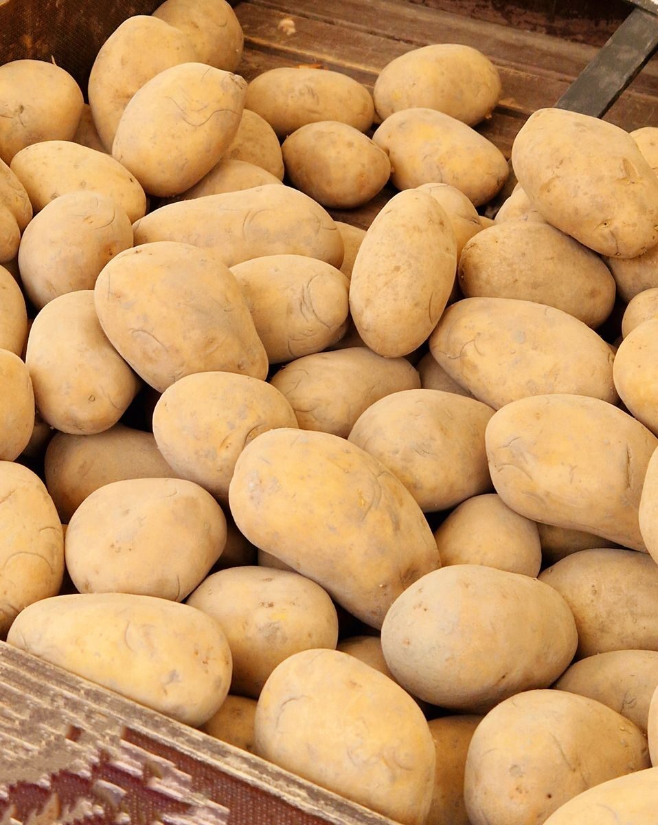 A variety of fresh potatoes at a Berlin market, showcasing organic produce in a rustic setting.