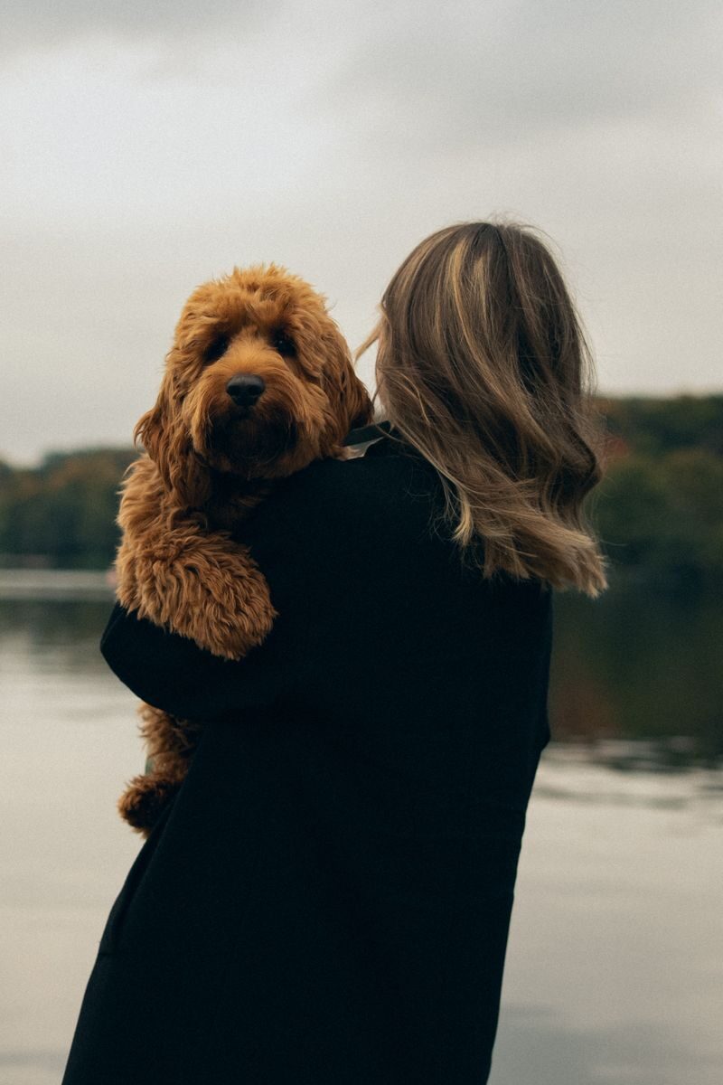 A woman holds her Labradoodle near a river under a cloudy sky in Düsseldorf.