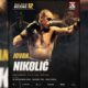 Jovan Nikolić ponovo u ringu na Balkan Boxing 12 u Novom Pazaru – Jovan Nikolić Balkan Boxing