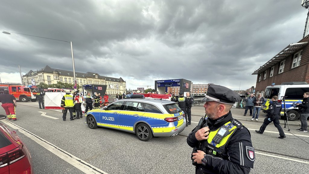 Uhapšen osumnjičeni za incidente na trafostanicama u Nemačkoj, priveden kod Vajsvajlera – incidenti na trafostanicama u Nemačkoj