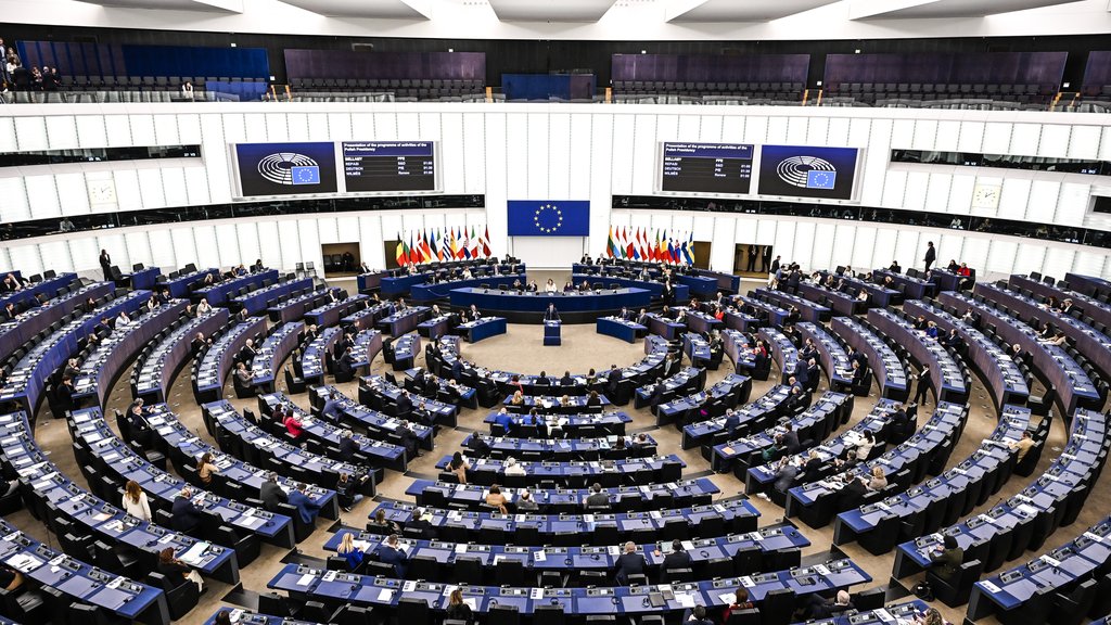Evropski parlament usvaja novu strategiju za digitalnu pismenost mladih – digitalna pismenost mladih