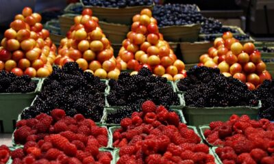 Instacart lansirao AI asistenta Clementine za bržu i pametniju kupovinu – AI asistent Clementine