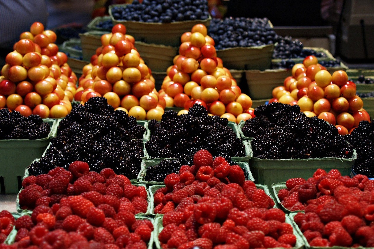 Instacart lansirao AI asistenta Clementine za bržu i pametniju kupovinu – AI asistent Clementine