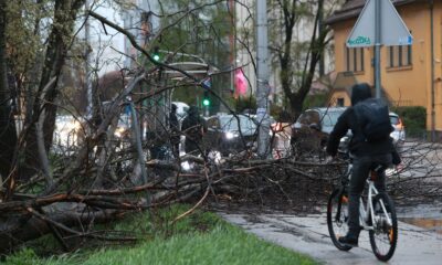 Olujno nevreme u Slavoniji sa vetrom do 90 km/h izazvalo materijalnu štetu