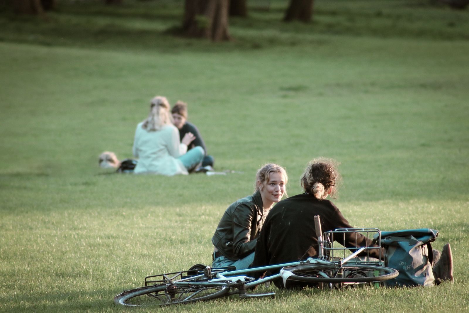 Two friends enjoy a sunny day in the park with their bicycles, reflecting leisure and relaxation.