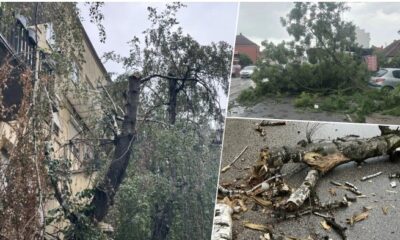 Oluja pogodila Osijek, vetar lomio stabla i izazvao prekide struje