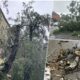 Oluja pogodila Osijek, vetar lomio stabla i izazvao prekide struje