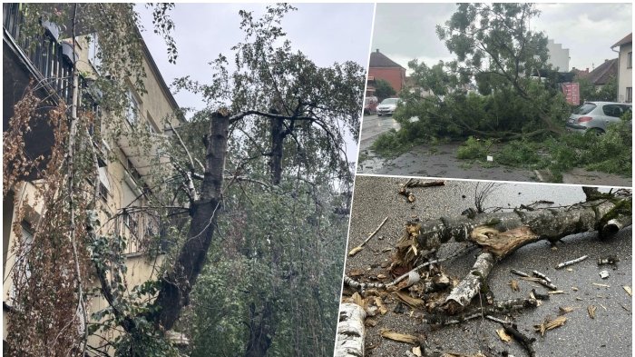 Oluja pogodila Osijek, vetar lomio stabla i izazvao prekide struje