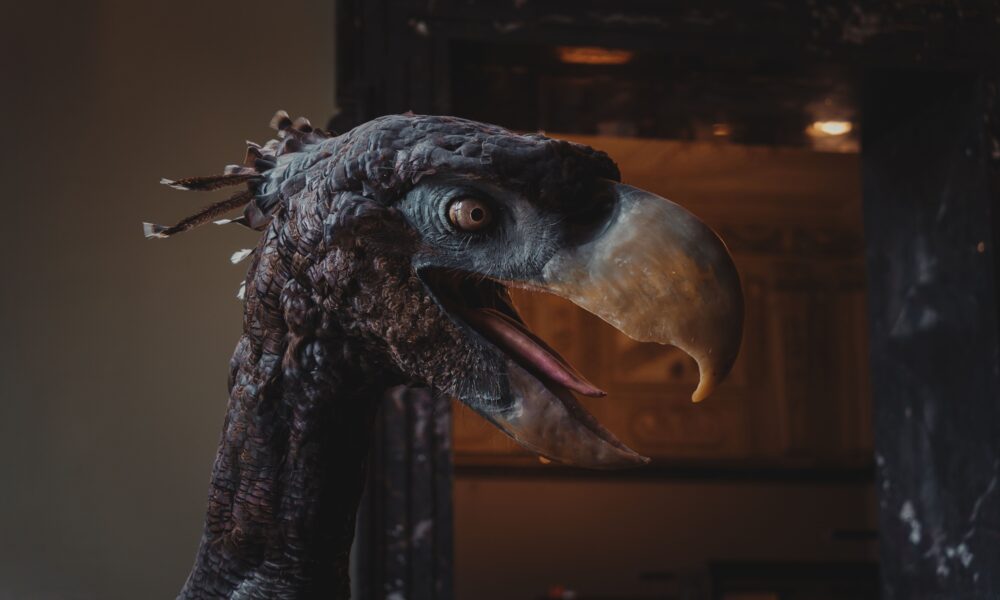Pronađeno ptičje pero iz perioda dinosaurusa u SAD – fosil Montana