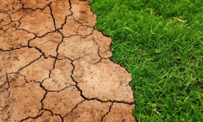 Ekstreman avgust u Srbiji: Klimatske promene donele 'nezamislivo' visoke temperature