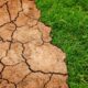 Ekstreman avgust u Srbiji: Klimatske promene donele 'nezamislivo' visoke temperature