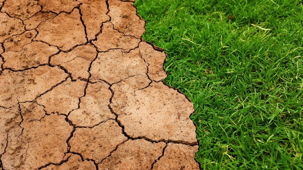 Ekstreman avgust u Srbiji: Klimatske promene donele 'nezamislivo' visoke temperature