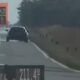 Presretači otkrili nasilničke vozače: BMW na 211, Suzuki na 185 km/h – nasilnička vožnja
