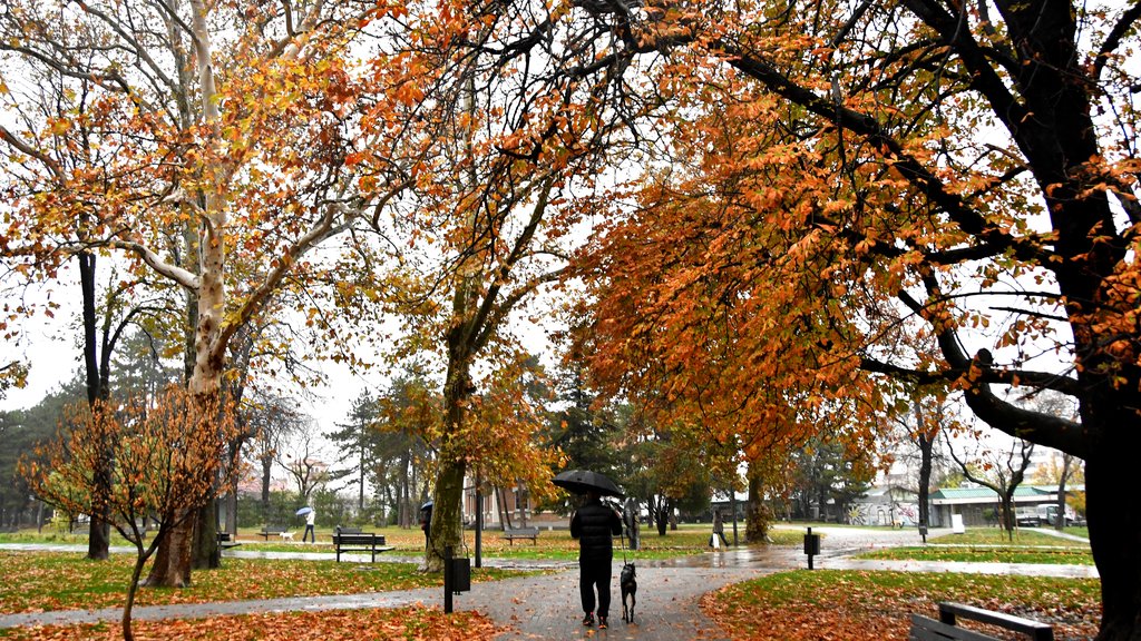Hladno jutro u Sjenici: Temperatura pala na samo 3 stepena, a leto još traje