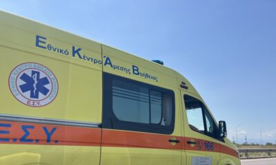 Drama u Grčkoj: Šakal napao dete iz Srbije u kampu kod Neos Marmarasa – napad šakala na dete u Grčkoj