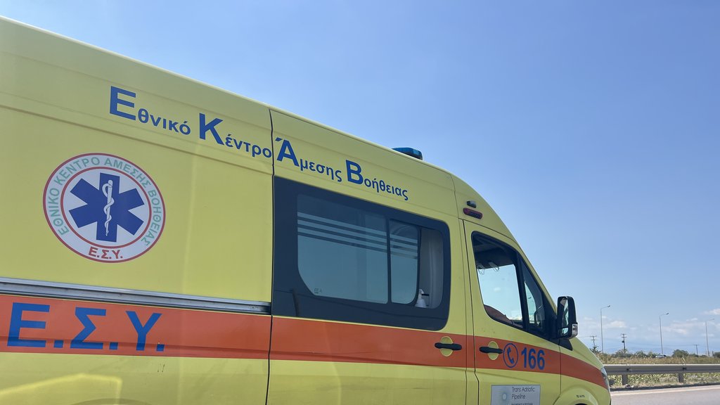 Drama u Grčkoj: Šakal napao dete iz Srbije u kampu kod Neos Marmarasa – napad šakala na dete u Grčkoj