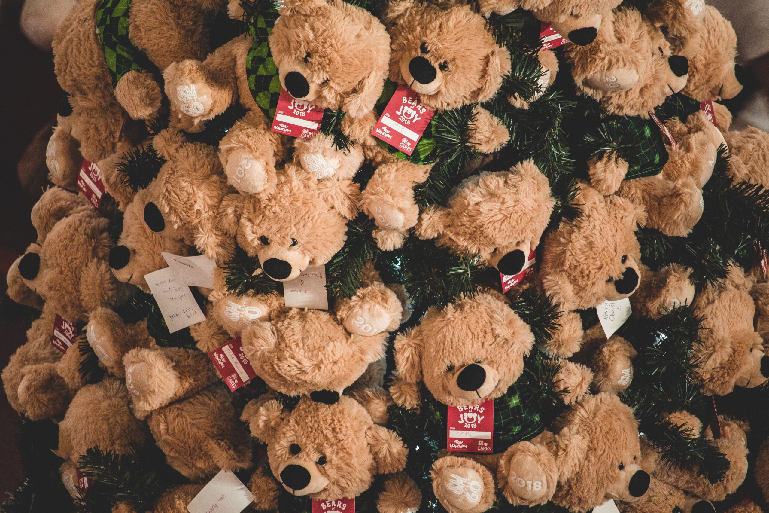 Pepco donirao više od 2,5 miliona zlota kroz prodaju humanitarnih medvedića u Evropi – prodaja humanitarnih medvedića