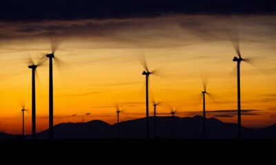 Masdar i Taaleri Energia pustili u rad Čibuk 2, snage 154 megavata kod Kovina – vetropark Čibuk 2