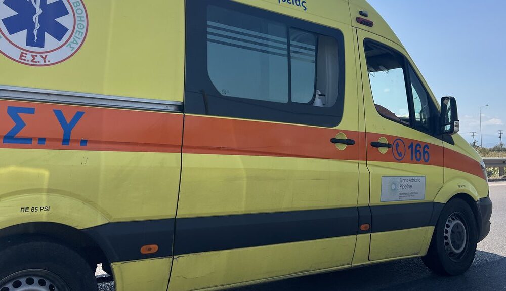 Napad divlje životinje u Neos Marmarasu: Turista iz Srbije povređen posle incidenta sa detetom