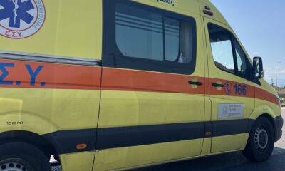 Napad divlje životinje u Neos Marmarasu: Turista iz Srbije povređen posle incidenta sa detetom