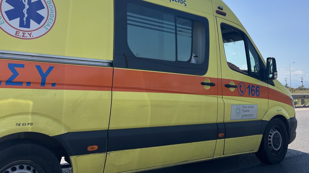 Napad divlje životinje u Neos Marmarasu: Turista iz Srbije povređen posle incidenta sa detetom
