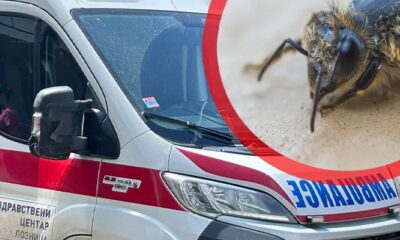 Tuga u Priboju i Obrenovcu: Dva mladića izgubila život posle ujeda insekata – ujed insekata u Priboju