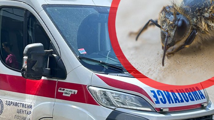 Tuga u Priboju i Obrenovcu: Dva mladića izgubila život posle ujeda insekata – ujed insekata u Priboju