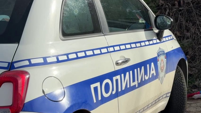 Napad u tržnom centru na Novom Beogradu: Maloletnik uhapšen nakon brutalnog sukoba – napad u Beogradu