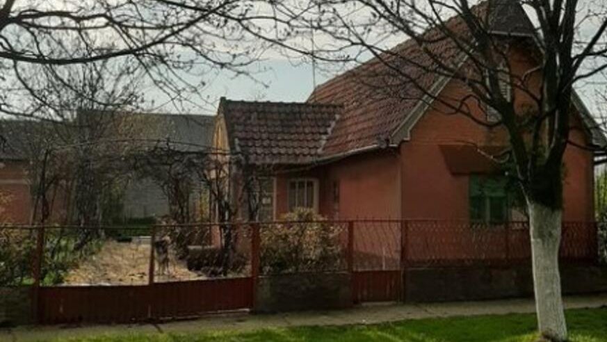 Vlada Srbije omogućila majkama do 2,5 miliona dinara za kupovinu seoske kuće: Evo šta donosi nova uredba – podrška za kupovinu seoske kuće