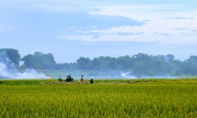 Američki farmeri u krizi zbog visokih troškova ratnih tarifa – troškovi rata na farme