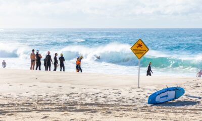 Užas na plaži u Australiji: Muškarac poginuo u napadu ajkule – napad ajkule u Australiji