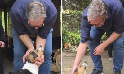Aleksandar Vučić posetio manastir Koporin i dao ime psu lutalici u porti