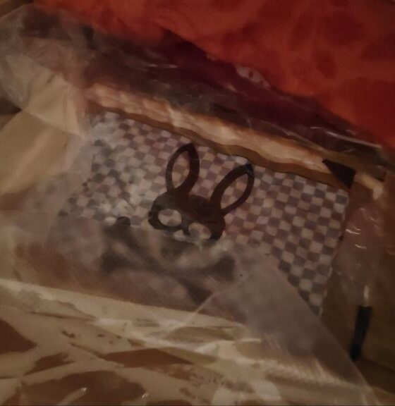 Novosadska policija otkrila više od kilograma kokaina: Detalji velike zaplene – zaplena kokaina u Novom Sadu