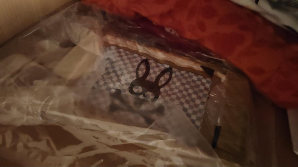 Novosadska policija otkrila više od kilograma kokaina: Detalji velike zaplene – zaplena kokaina u Novom Sadu