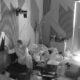 LAURA NAPUSTILA IZOLACIJU ZBOG SVAĐE U REHABU: Ljubomorna scena između nje, Filipa Cara i Kristine Jelkić izazvala burnu reakciju (VIDEO) – ljubomorna scena Laure Prgomet