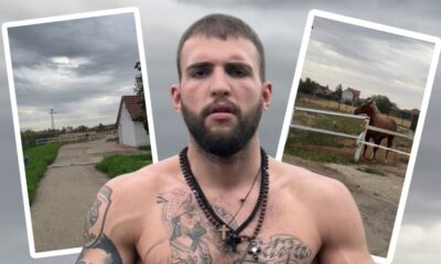 KAKAV PREOKRET U ŽIVOTU VELJKA RAŽNATOVIĆA: Profesionalni bokser uredio privatni hipodrom i ergelu u Titelu (FOTO) – privatni hipodrom u Titelu