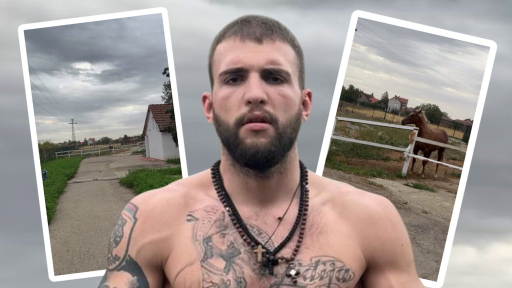 KAKAV PREOKRET U ŽIVOTU VELJKA RAŽNATOVIĆA: Profesionalni bokser uredio privatni hipodrom i ergelu u Titelu (FOTO) – privatni hipodrom u Titelu