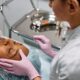 Samostalna upotreba peptida: Rastući rizik za zdravlje žena