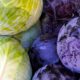 cabbage, red cabbage, white cabbage, vegetables, food, healthy, cabbage, cabbage, cabbage, cabbage, cabbage, red cabbage, red cabbage