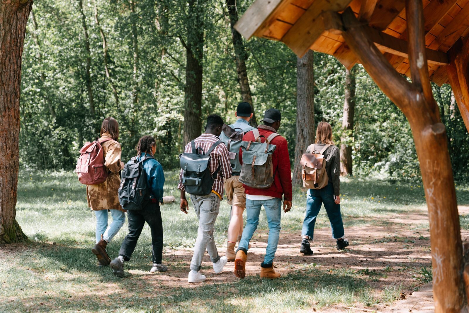 A diverse group of friends hiking together on a sunny day in the forest, capturing unity and adventure.