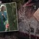 KOMŠIJE OTKRILE PRAVU ISTINU O ŽIVOTU ZVONKA BOGDANA: Pevač živi skromno u Subotici, odbio je milionske ponude za svoju kuću (FOTO) – Zvonko Bogdan Subotica