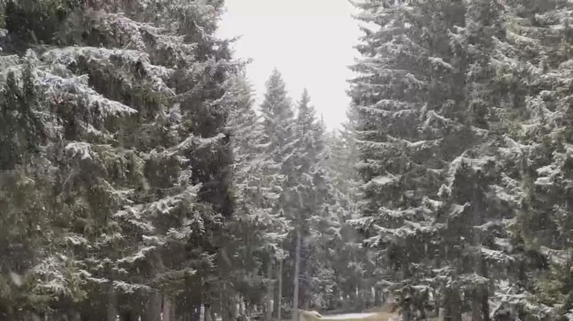 Prvi sneg na Goliji: Pahulje iznenadile meštane, ali se brzo tope