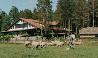Berkshire Hathaway menja rukovodstvo: Hauard Bafet preuzeo firmu vrednu 1.100 milijardi dolara – tržišna kapitalizacija Berkshire Hathaway